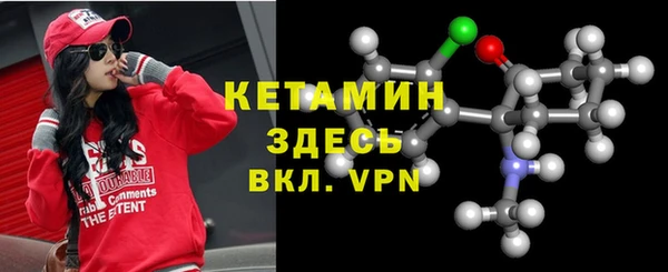 шишки Карпинск