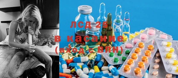 шишки Карпинск