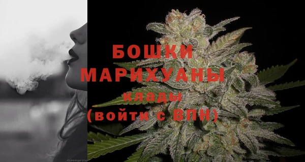 шишки Карпинск