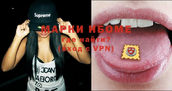 шишки Карпинск