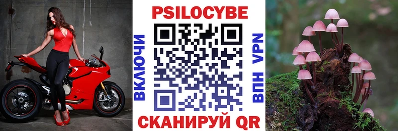 Псилоцибиновые грибы Psilocybine cubensis  Ильский 